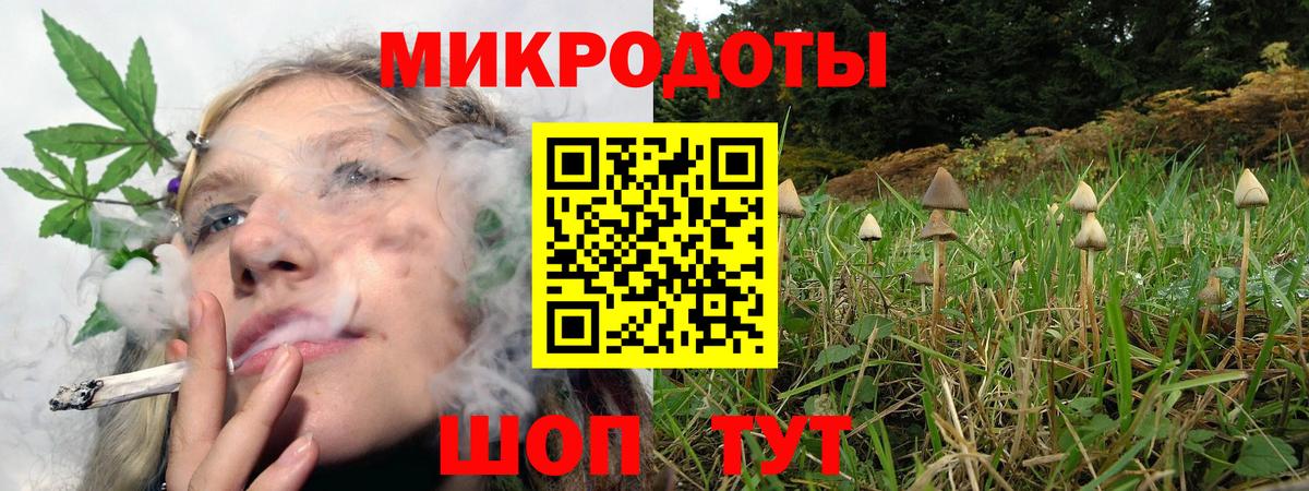 Галлюциногенные грибы прущие грибы  Вход с VPN  Осинники  Галлюциногенные грибы MAGIC MUSHROOMS 